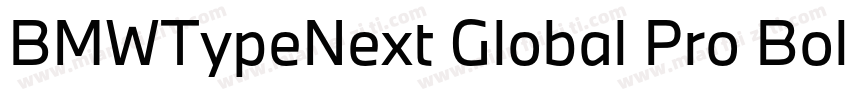 BMWTypeNext Global Pro Bold字体转换